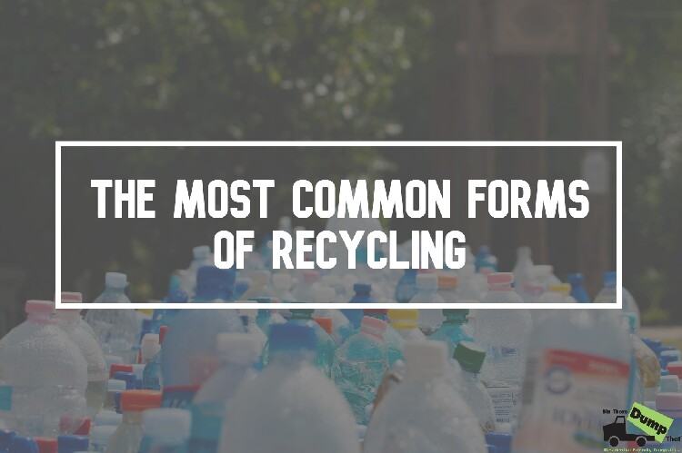 The Most Common Forms of Recycling